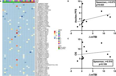 Ascites and Serial Plasma Circulating Tumor DNA for Predicting the Effectiveness of Hyperthermic Intraperitoneal Chemotherapy in Patients With Peritoneal Carcinomatosis